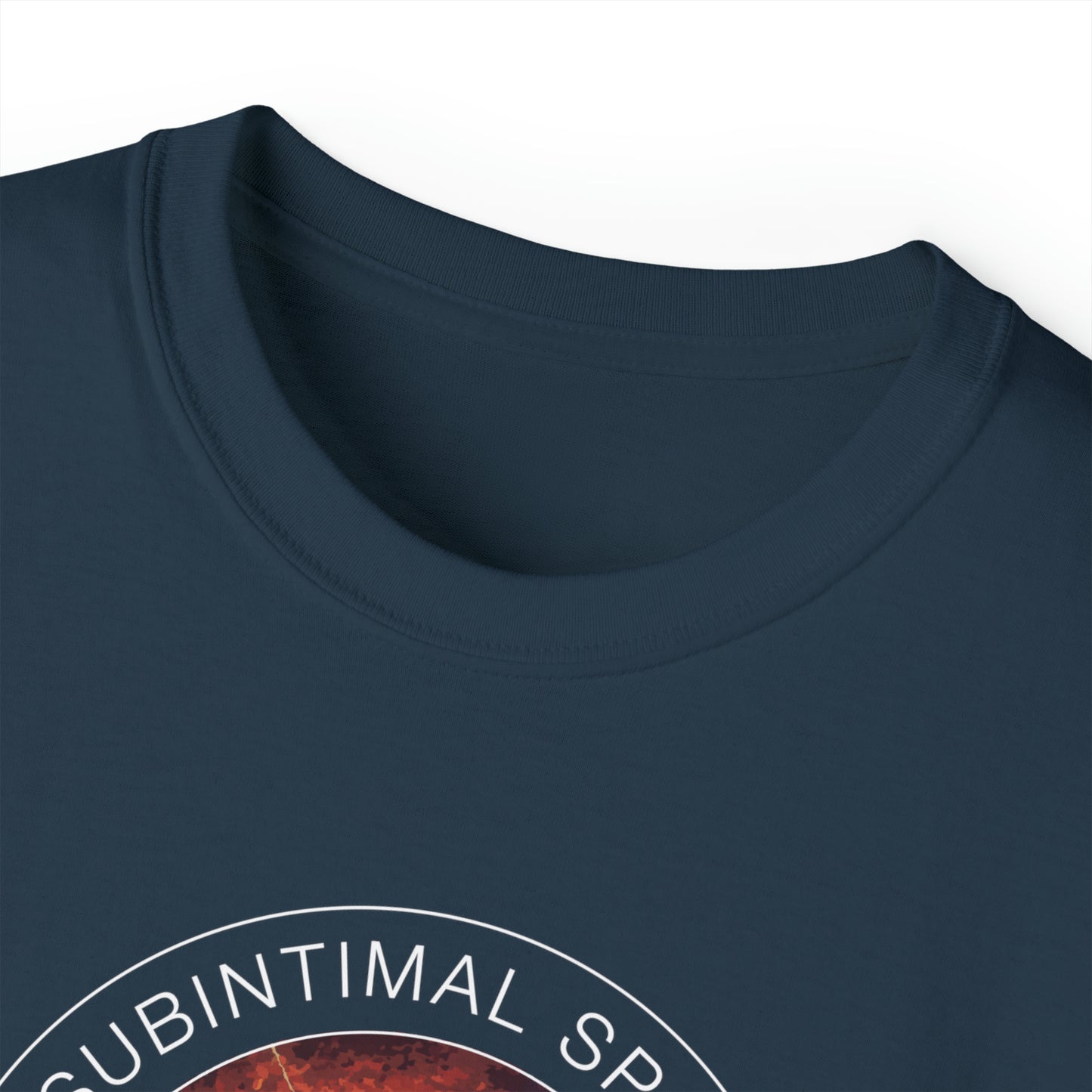 Subintimal Space Dissection Re-Entry - male