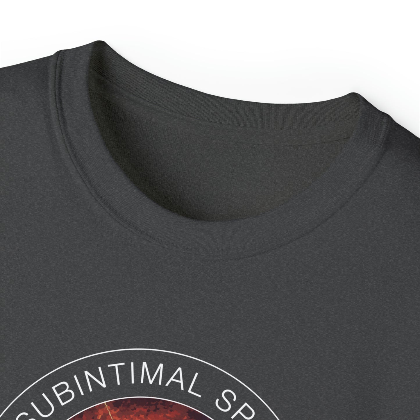 Subintimal Space Dissection Re-Entry - male