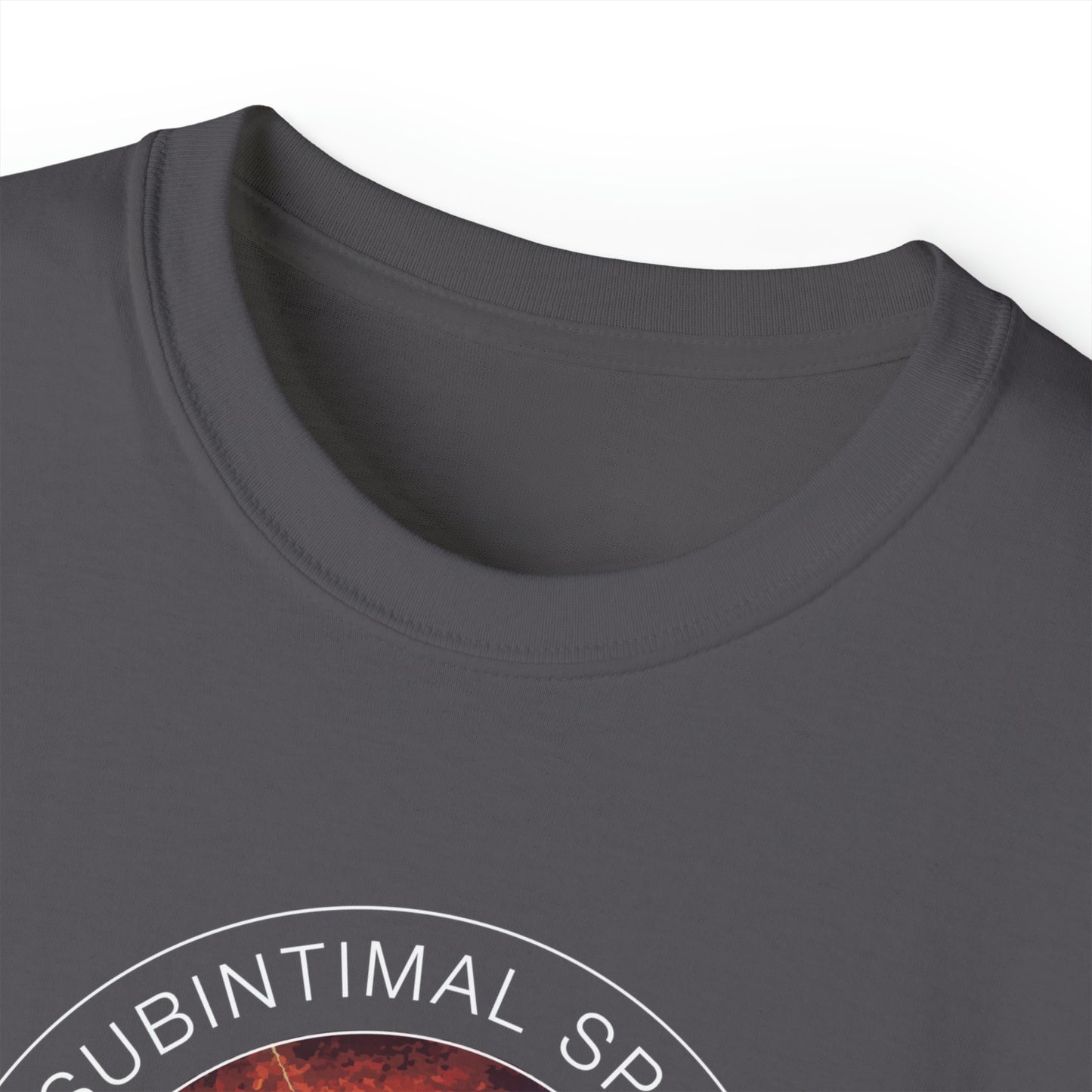 Subintimal Space Dissection Re-Entry - male