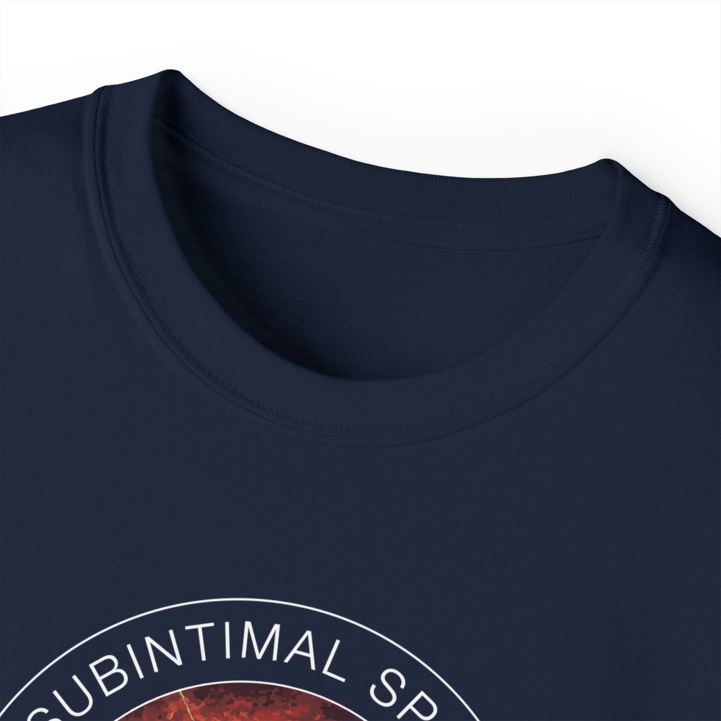Subintimal Space Dissection Re-Entry - male